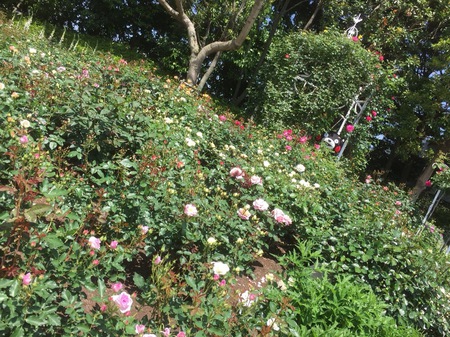 なばなの里 131.JPG